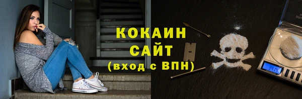 сатива Аркадак