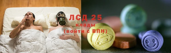 сатива Аркадак