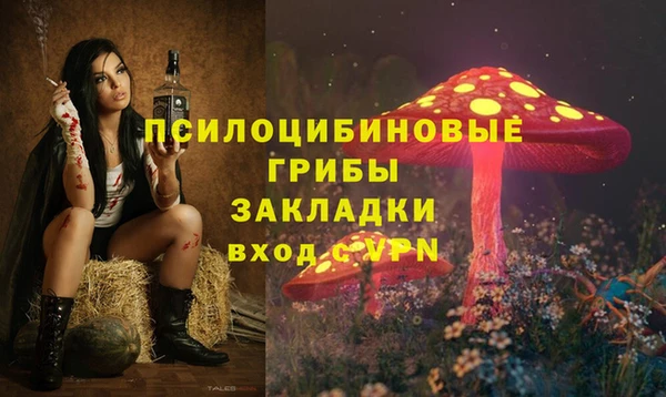 сатива Аркадак