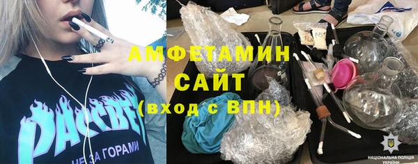 сатива Аркадак