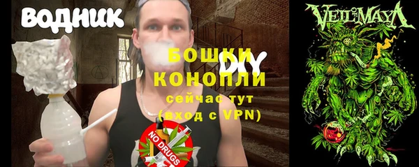 сатива Аркадак