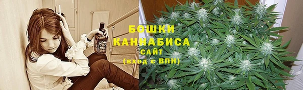 сатива Аркадак