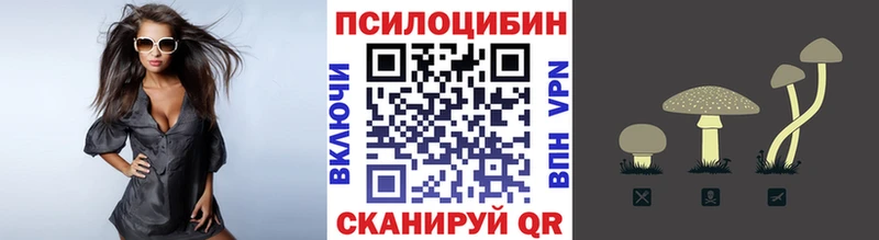 Псилоцибиновые грибы GOLDEN TEACHER  Ахтубинск 